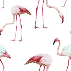 flamingo pattern N2