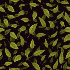 Seamless texture of green leaf on black background