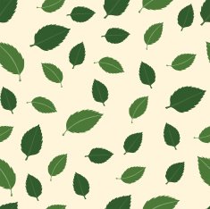 vector pattern with leaves of walnut N2