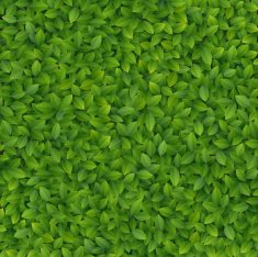 Green leaves texture N9