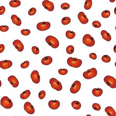 Vector seamless background with red tomatoes on white