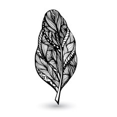 Decorative feathers N4