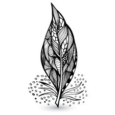 Decorative feathers N6