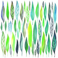 Watercolor leafs set