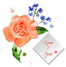 Illustration rose and forget-me-flower for celebratory design N2