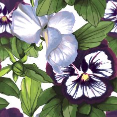 Flowers Seamless Pattern composed of watercolor violas