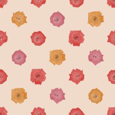 Seamless vector pattern with beautiful roses N9