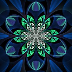 Fabulous symmetrical pattern of the leaves N2