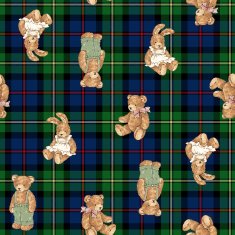 Pattern of bear N14