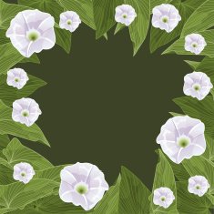 Floral frame in the shape of a circle Vector illustration