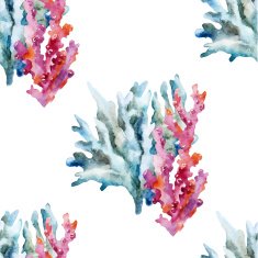 Corals with shells and crabs N6