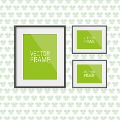 Realistic frame vector N5
