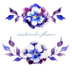 Blue Flowers N26