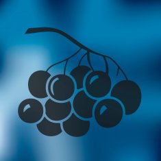 berries icon on blurred background