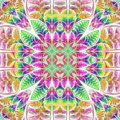 Symmetrical multicolored pattern of the leaves Collection - tree foliage