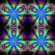 Beautiful tracery in fractal design Collection - frosty pattern