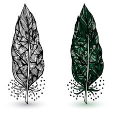 Decorative feathers N13