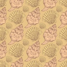 Sketch sea shell in vintage style N3