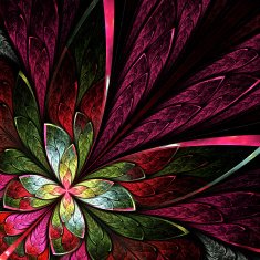 Fractal flower or butterfly on black background