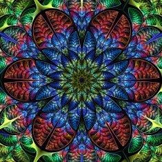 Multicolored symmetrical pattern of the leaves Collection - tree foliage