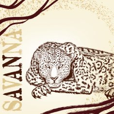 Savanna background with hand drawn leopard N2