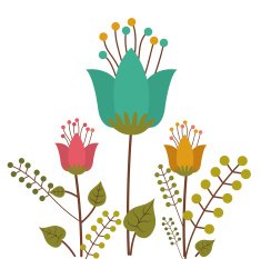 Flowers design vector illustration