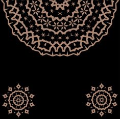 Lace floral colorful ethnic ornament N21