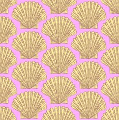 Sketch sea shell in vintage style N5