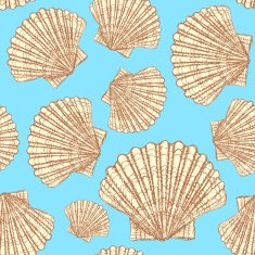 Sketch sea shell in vintage style N6