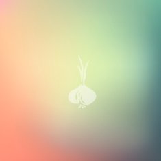 onion icon on blurred background