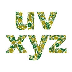 Beautiful typescript with natural spring pattern N3