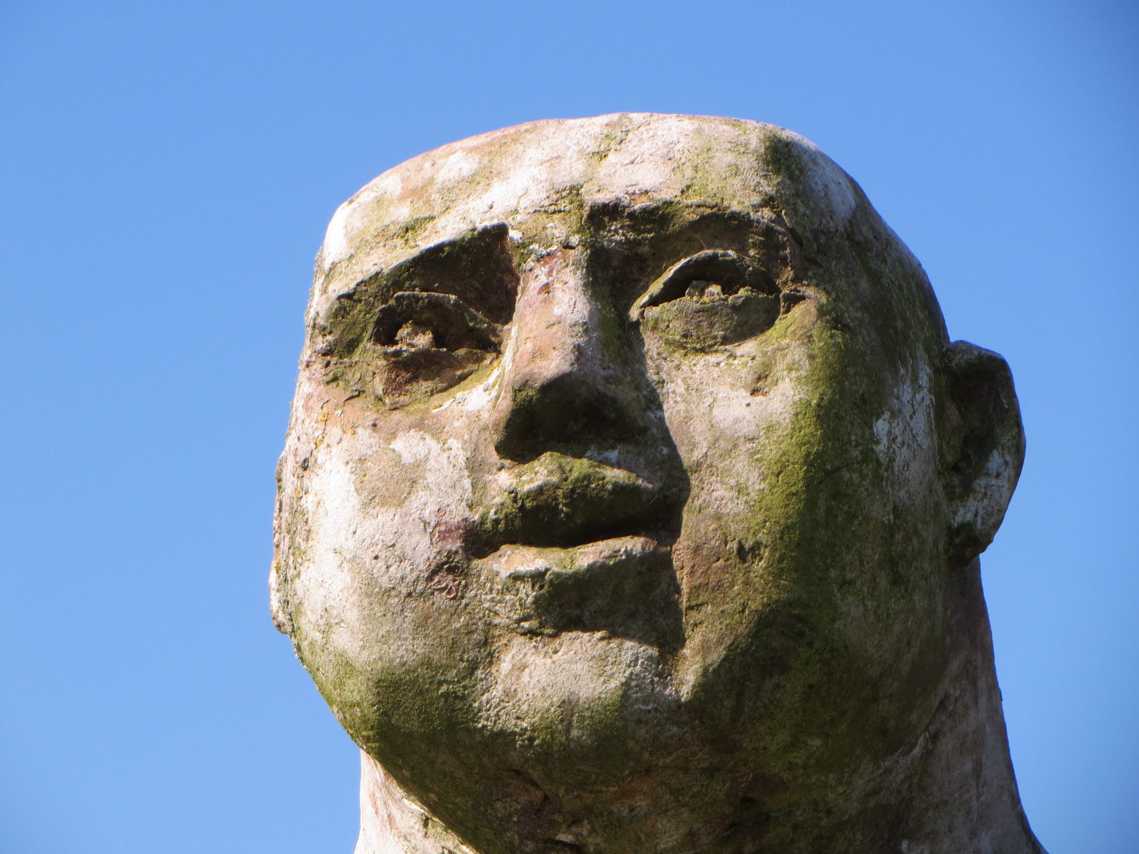 Сквозь каменное лицо. Каменное лицо. Каменная голова. Камень с лицом. Статуя Каменное лицо.