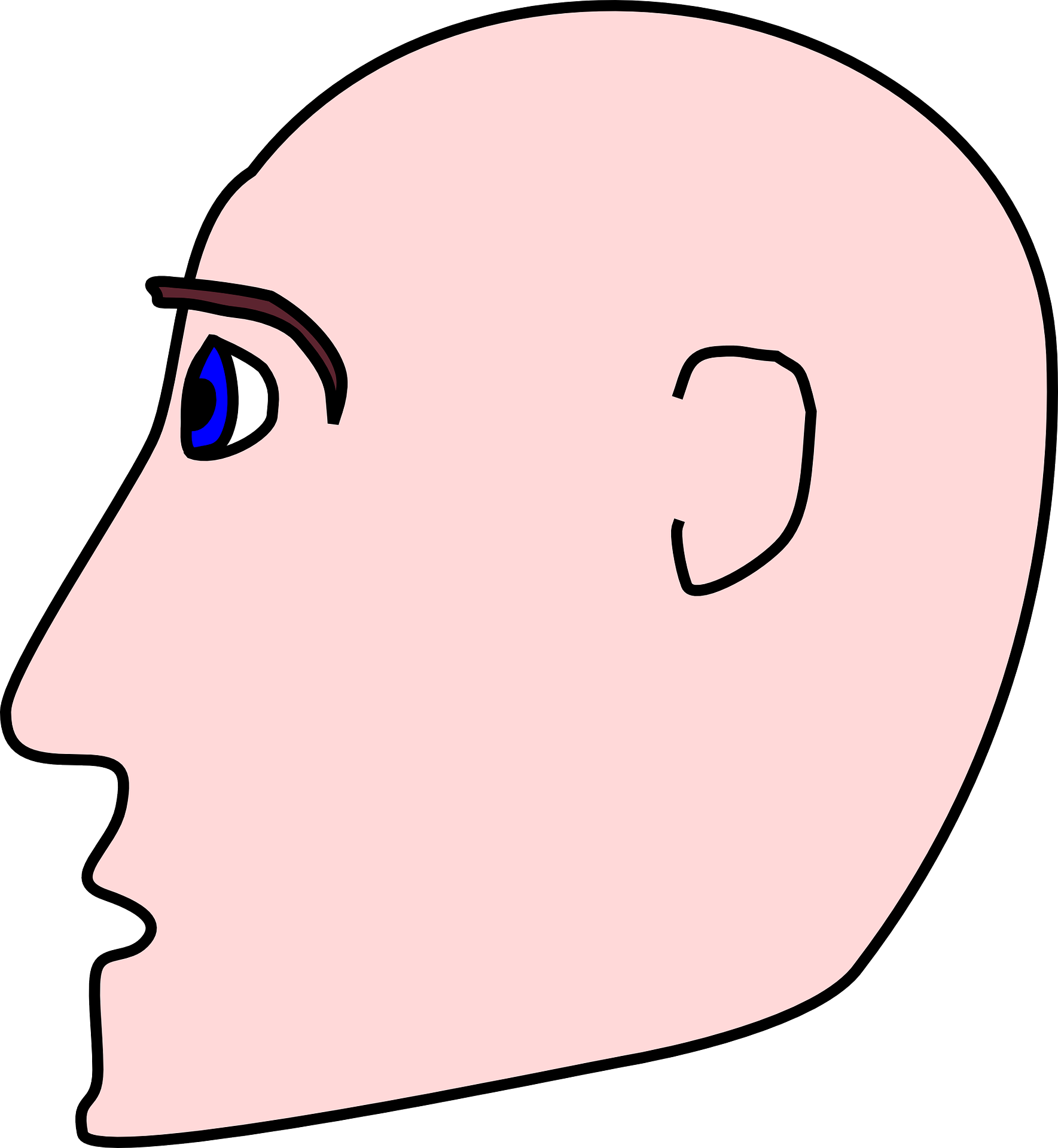 Bald head drawing free image download