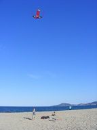 Children play on the beach with kite