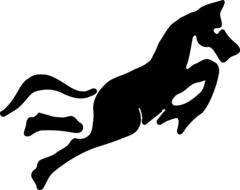 silhouette of a jumping horse