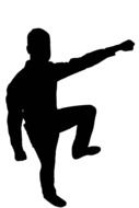 silhouette of karateka