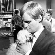 david mccallum actor