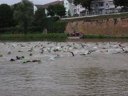 competition of swimm athletes in wetsuits