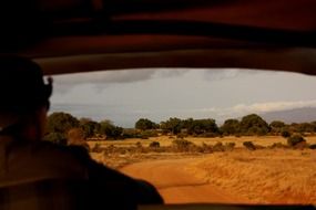 View from the truck on a safari in Kenya, Africa