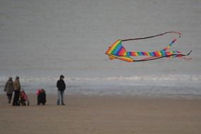 children look at a kite