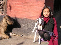 Child with the goats in Nepal