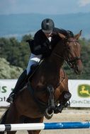 jockey competition jumping horse