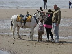 family near burro on the beach