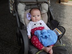 baby with a natural flower in a stroller