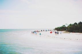 people on the beach by the ocean