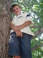 photo of a boy who standing on a tree