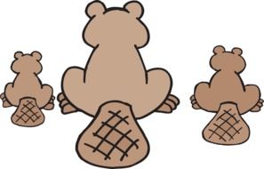 Drawing of Brown beavers sitting on white background