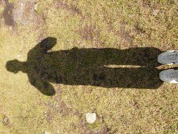 self-portrait of the shadow