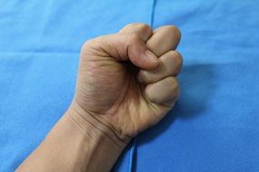 fist brush