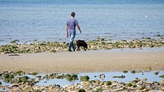 a man walks along the beach with a dog